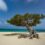 Spring into Summer with Celebrity Cruises