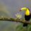HOT TICKET – South America/Antarctica sailings from $59 / day!