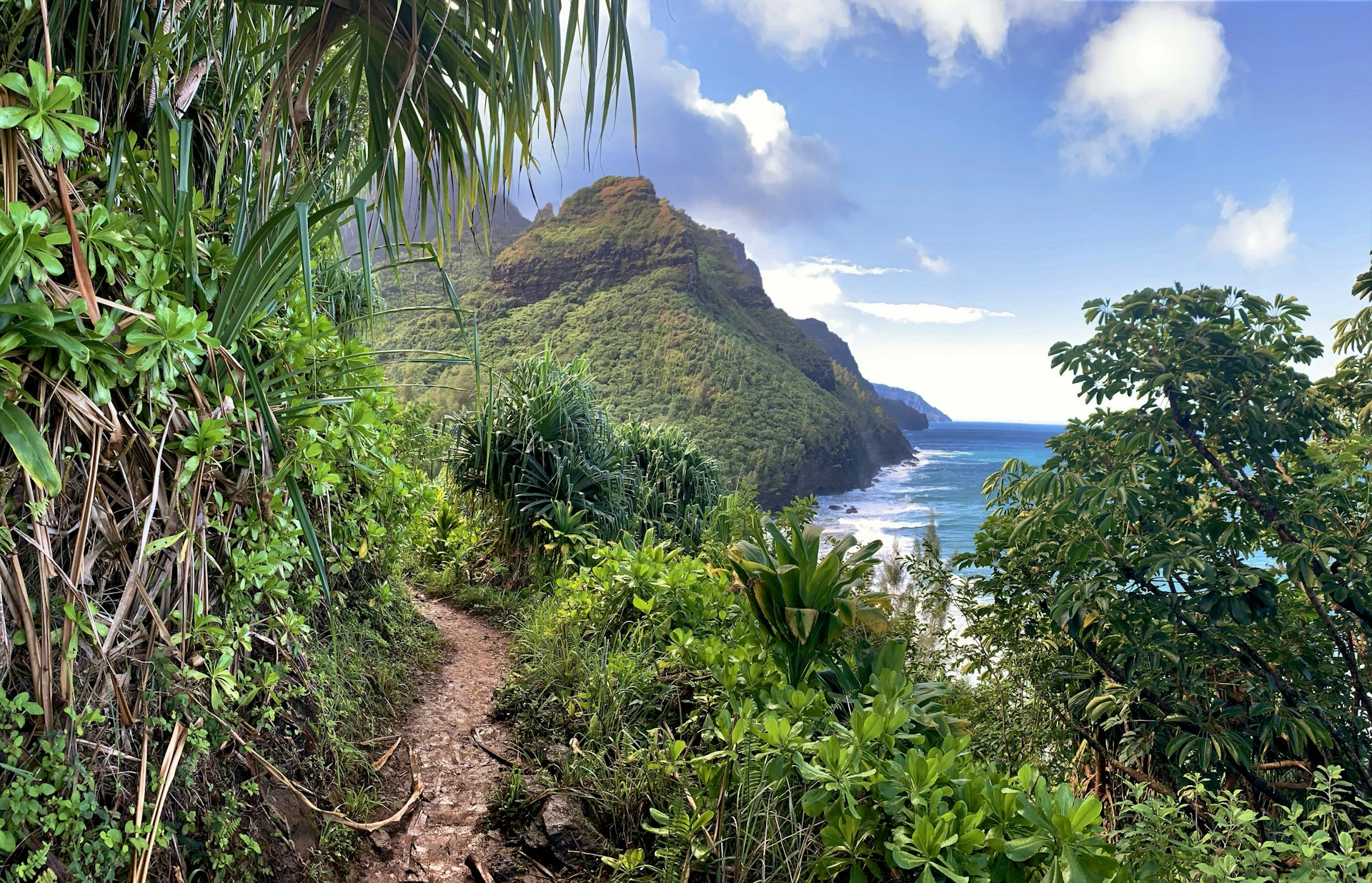 Viking World Cruise Sale
